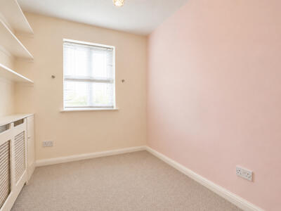 Picture 12
